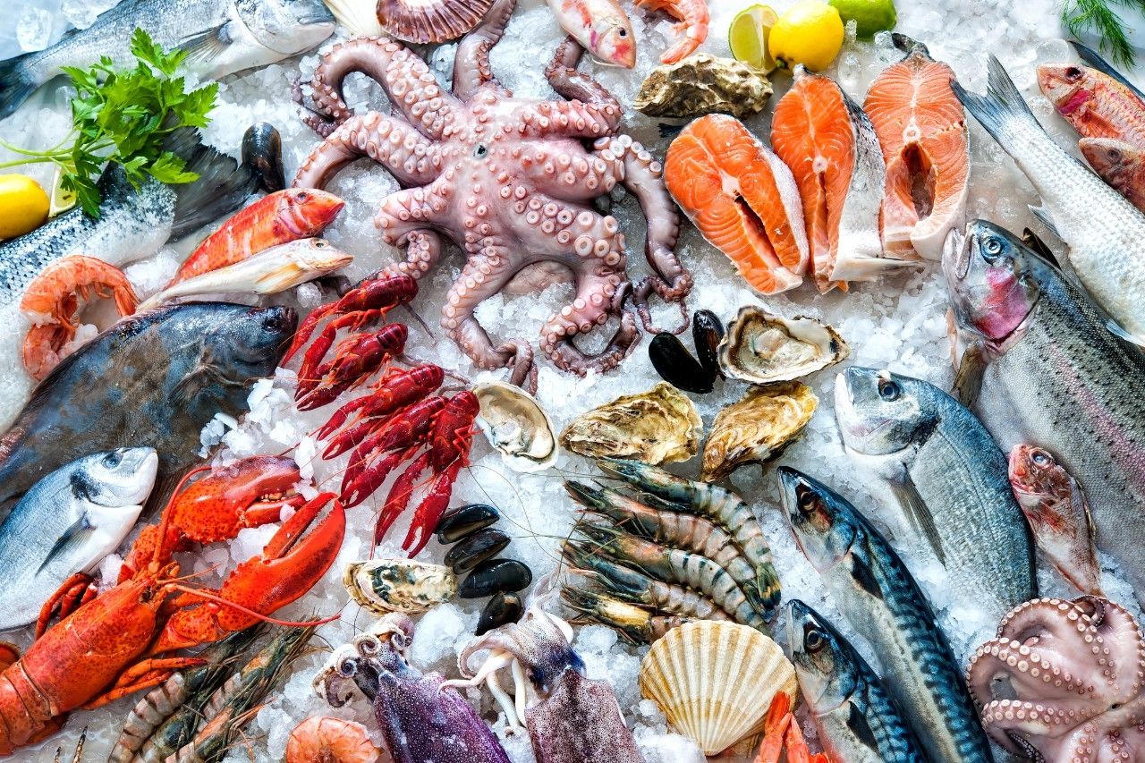 Esplorando il Mondo del Pesce Fresco: Un Viaggio nei Sapori del Mare immagine dello striscione